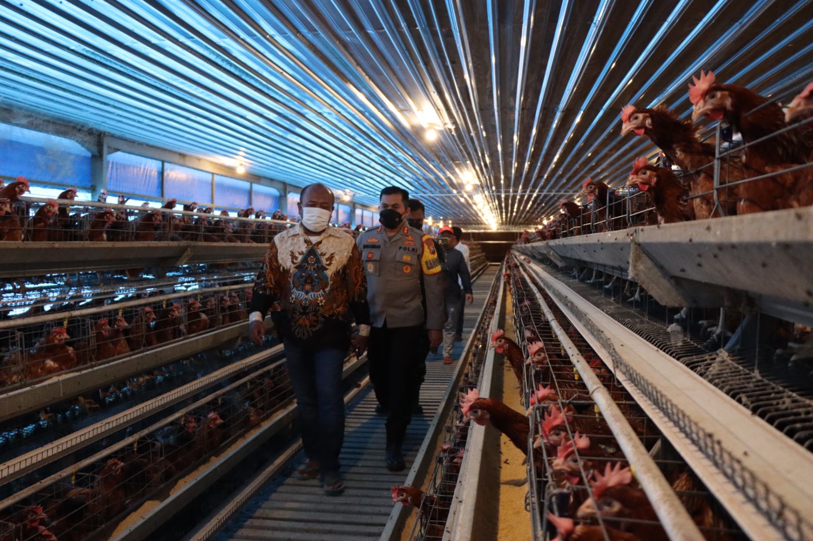 Dukung Pemulihan Ekonomi, Kapolres Bojonegoro Kunjungi Sentra Ayam Petelur