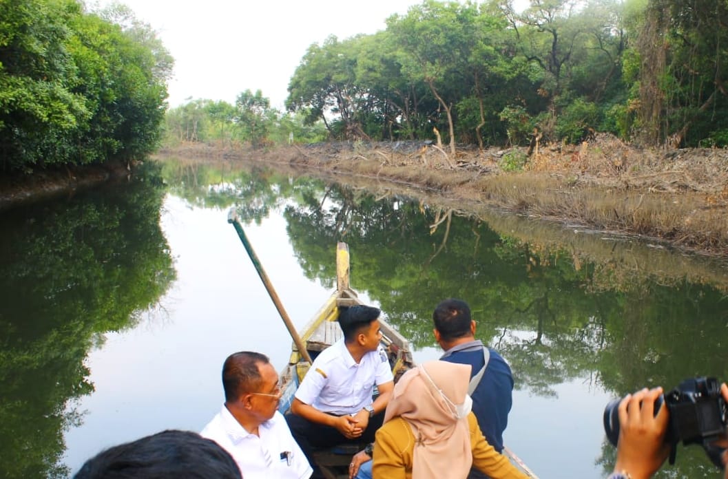 Ratusan Mangrove Rusak, Pegiat Lingkungan Sesalkan Pengerukan Sembrono DSDABM di Sungai Wonorejo