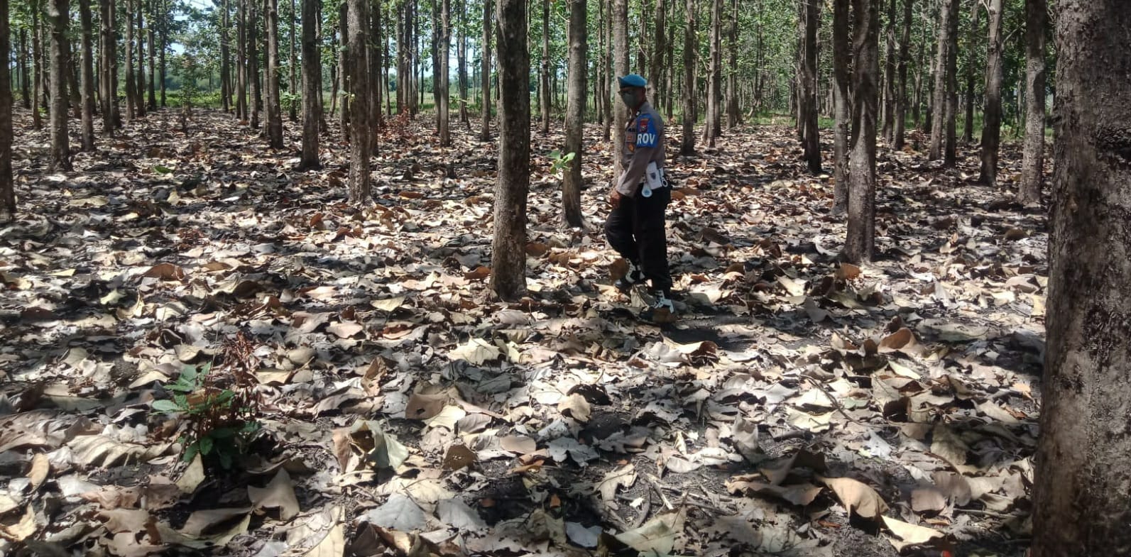 Antisipasi Karhutla di Lamongan, Polisi Masif Patroli Hutan