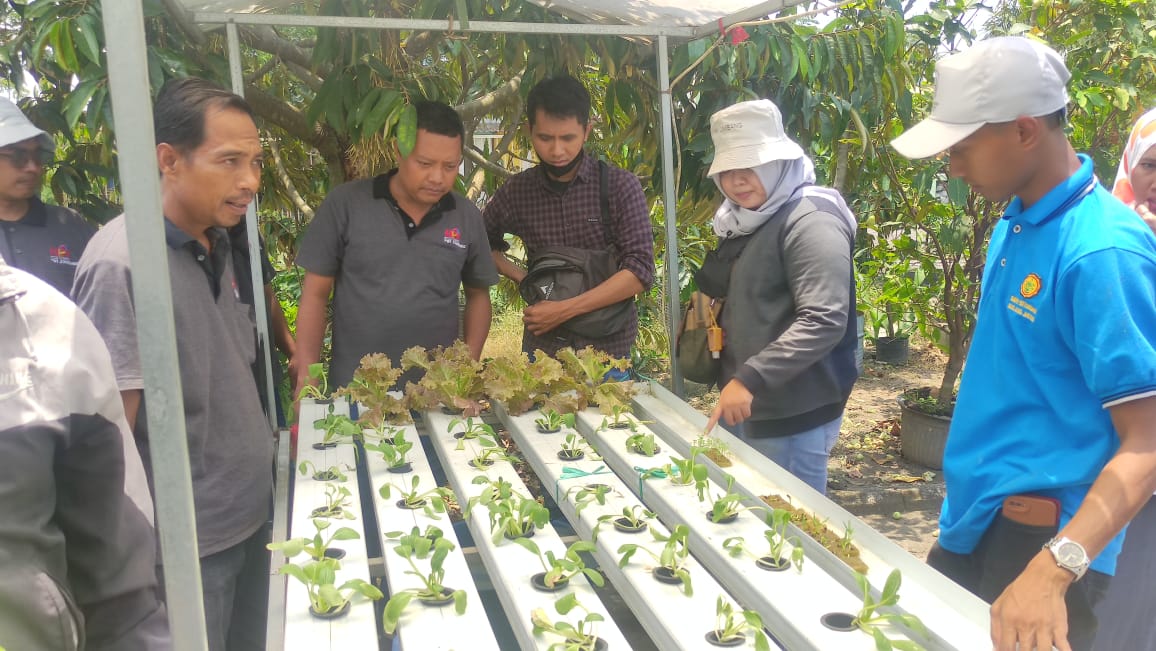 Kembangkan Usaha, PWI Jombang Gelar Pelatihan Budidaya Tanaman Hidroponik