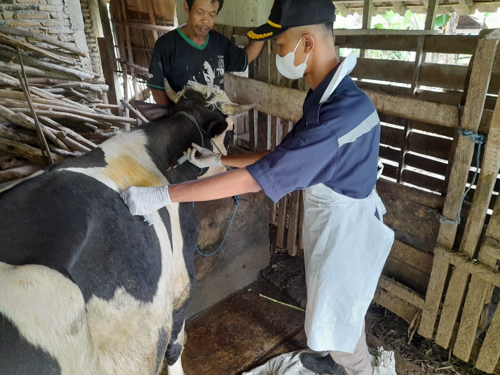 Dinas Peternakan dan Kesehatan Hewan Tulungagung Beri Layanan Door to Door