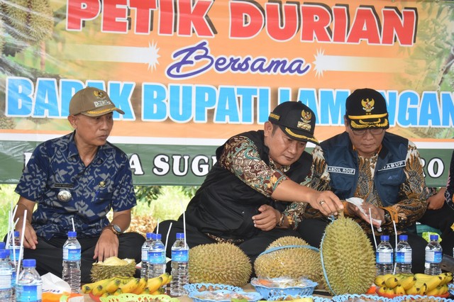 Rintisan Desa Agrowisata, Sugihan Tawarkan Durian Legit Matang Pohon
