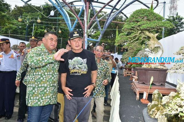 Dukung Peningkatan Ekonomi Kreatif Melalui Hobi Bonsai