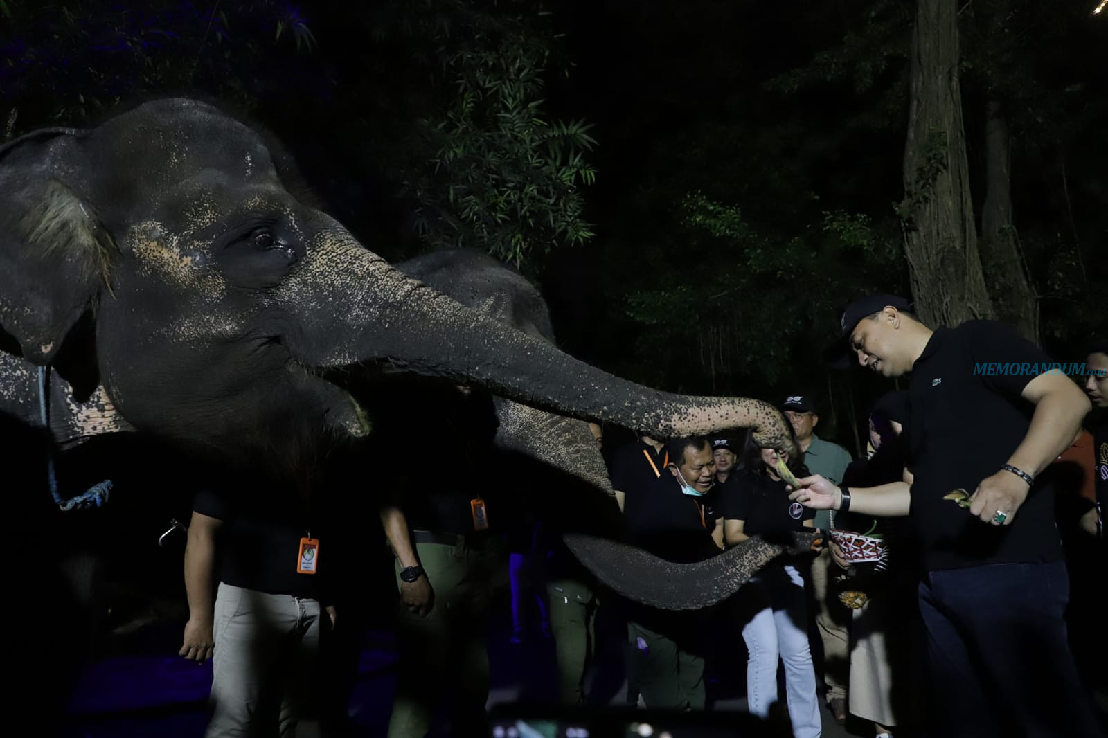 Trial Opening Surabaya Night Zoo, Wali Kota Eri Cahyadi: Amazing!