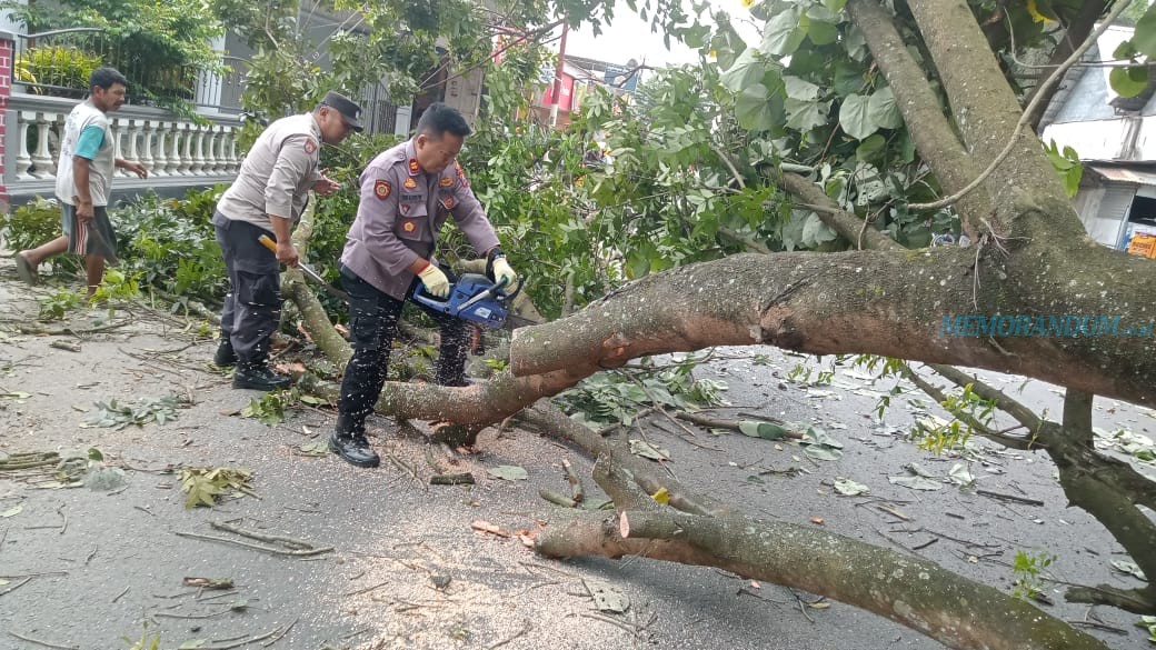 Cepat Tanggap, Kapolsek Kandat Turun Tangan Evakuasi Pohon Tumbang