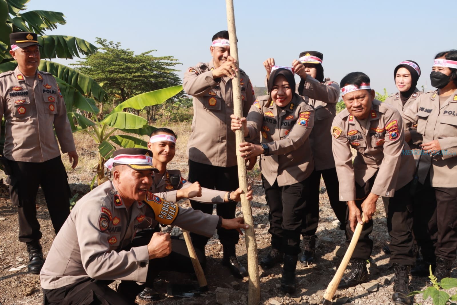 Rayakan HUT Ke-78 RI, Polrestabes Surabaya Tanam Pohon Serentak