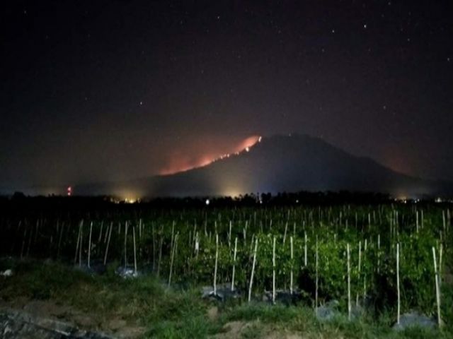 Kebakaran Hutan di Gunung Raung, Titik Api tidak di Jember