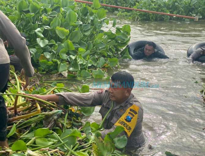 Pembersihan Enceng Gondok Dilanjutkan Libatkan Semua Pihak