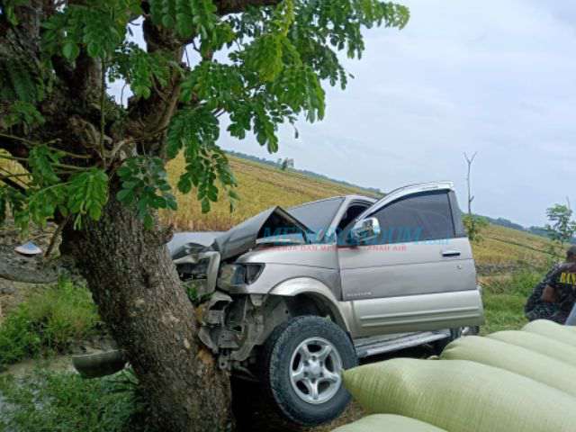 Mobil Tabrak Pohon, ASN Bojonegoro Meninggal