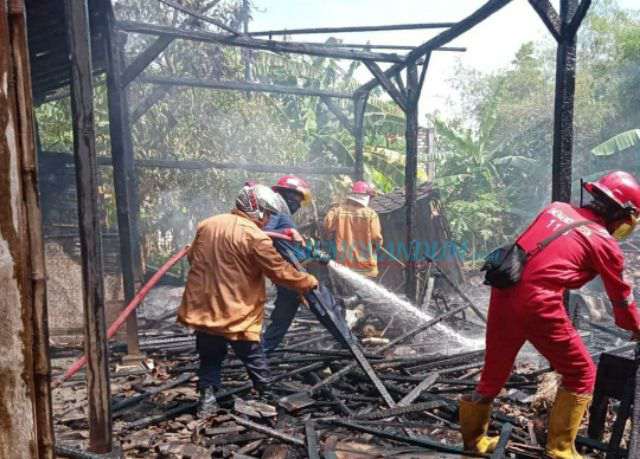 Si Jago Merah Lahap Rumah Warga, Sisakan Puing Bangunan