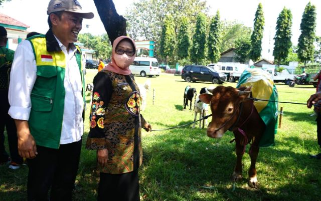 Jelang Iduladha 1443 H, Bupati Jombang dan Baznas Salurkan Hewan Kurban