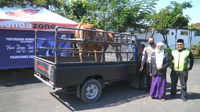 Polrestabes Surabaya Salurkan 19  Sapi dan 73 Kambing ke Yayasan dan Masjid