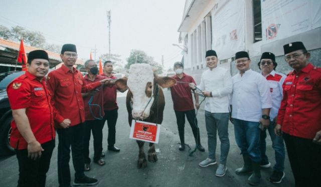 Kurban 11 Sapi, PDI-P Surabaya: Iduladha Momen Perkuat Spiritual