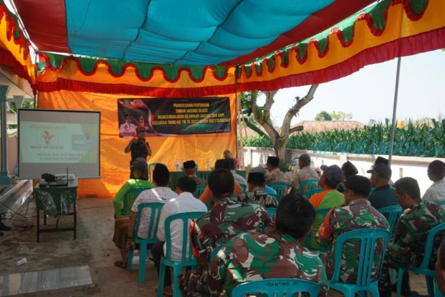 Satgas TMMD Sosialisasi Tanam Jagung Silase kepada Petani Desa Tanjung