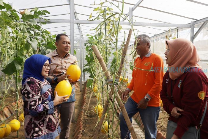 Urban Farming Sukses, Eri Eri Sampaikan Terima Kasih kepada Kelompok Tani Kosagrha Lestari