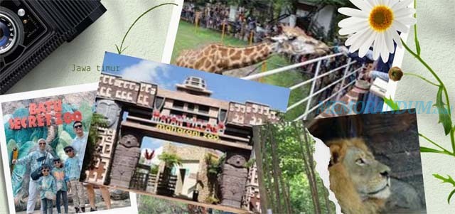 5 Kebun Binatang yang Ada di Jawa Timur, Mana yang Belum Anda Kunjungi