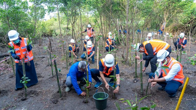 Pulihkan Ekosistem Laut, TPS Panen 10 Ribu Bibit Mangrove