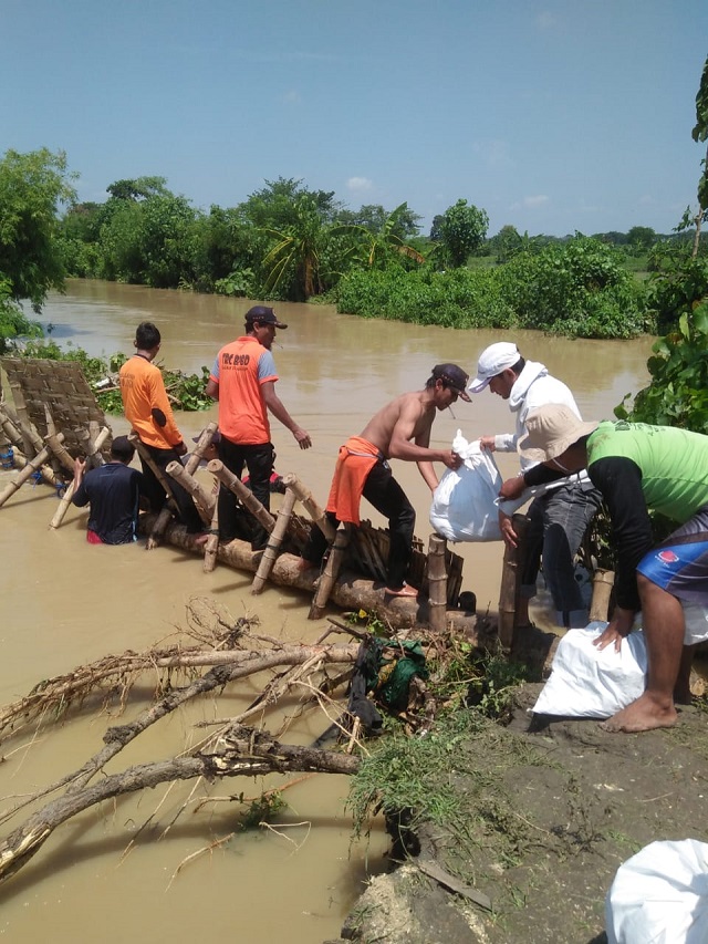 Tanggul Jebol Rendam 40 Hektare Tambak