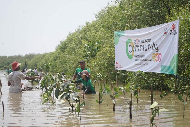 Peringati Hari Bumi, Semen Indonesia Tanam Seribu Mangrove