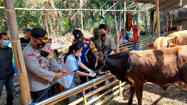 Gandeng Satgas PMK, Polisi Cek Kesehatan Hewan Kurban