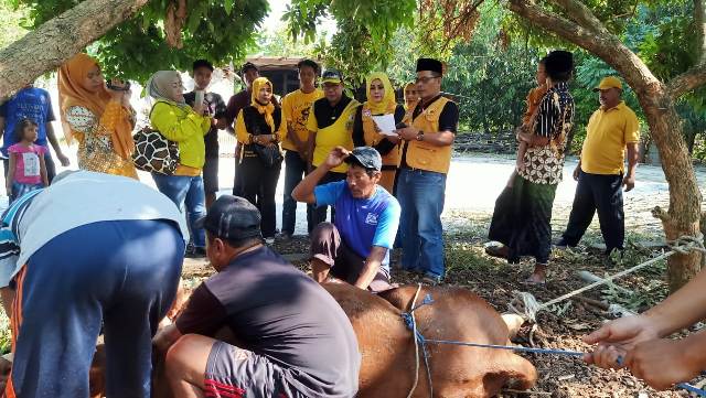 DPC MKGR Jombang Berbagi Daging Kurban