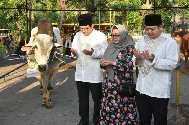 Iduladha, Petrokimia Gresik Salurkan 16 Ekor Sapi dan 98 Kambing