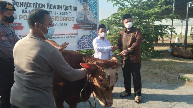 Salurkan Hewan Kurban, Kapolresta Sidoarjo: Bisa Memupuk Rasa Kebersamaan