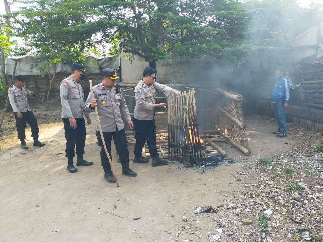 Berantas Penyakit Masyarakat, Polsek Trowulan Bongkar Tempat Judi Sabung Ayam