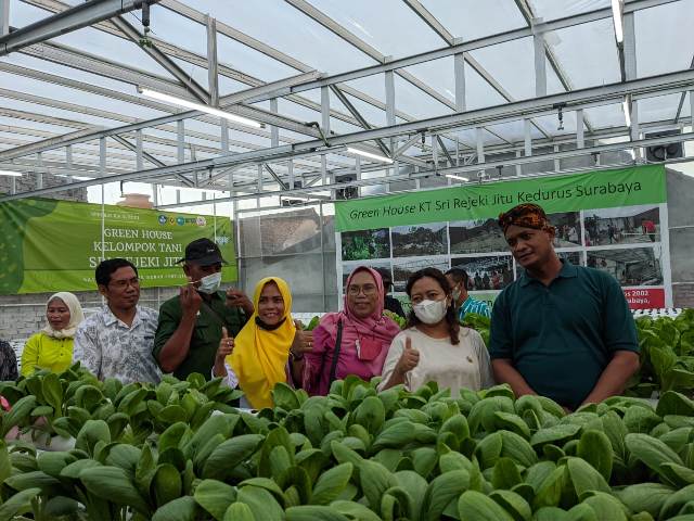 Lewat Urban Farming, Wujudkan Ketahanan Pangan Warga Perkotaan