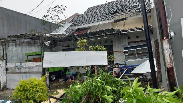 Puting Beliung Hajar Sidoarjo, Tumbangkan Pohon dan Rusak Rumah Warga