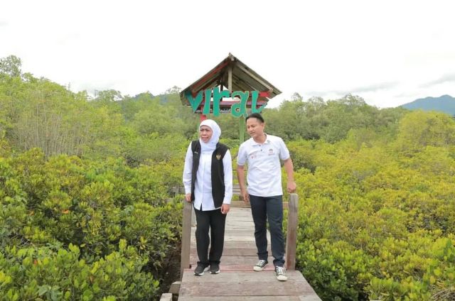 Wujudkan Blue Economy, Gubernur Jatim Ajak Masyarakat Budidayakan Mangrove