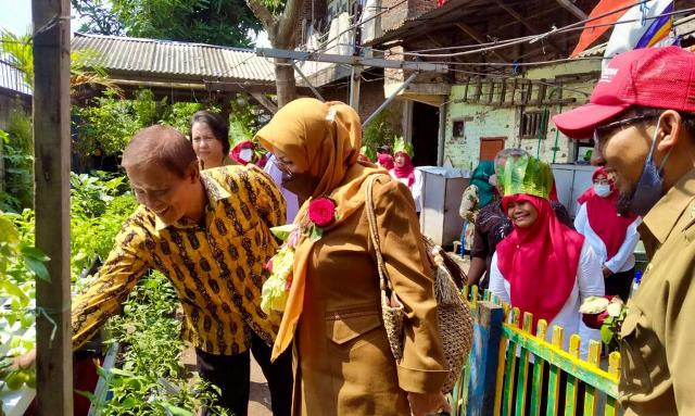 RW 10 Pegirian Ditunjuk Jadi Kampung Pengembangan Tanaman Toga dan Akupresur