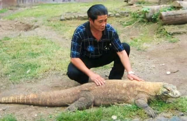 Wisata Taman Komodo, Disarankan Lokasi di Kenjeran