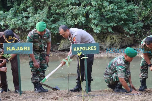 Bersama Forkopimda, Kapolres Malang Tanam Mangrove di Pantai Ngliyep