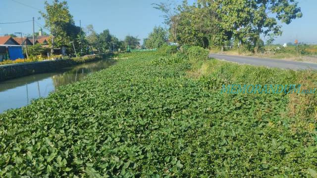 Normalisasi Sungai Pelayaran Diapresiasi Pemdes Krembangan