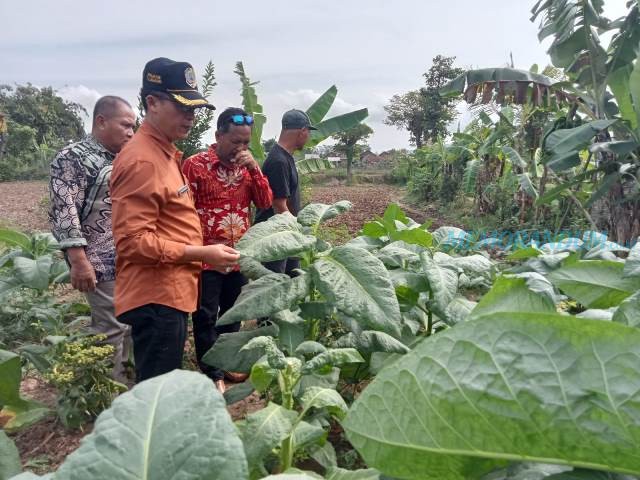 Jelang Pencairan Bansos DBHCHT 2023, Dinsos Tulungagung Giatkan Verifikasi Lapangan