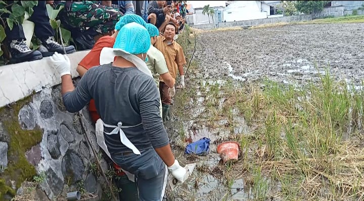 Bajak Sawah Dapat Mayat Bayi