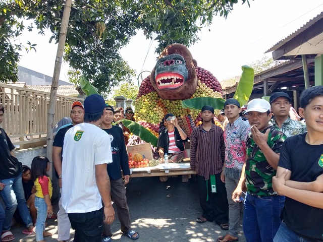 Ada Gorila di Bersih Desa Bungkal