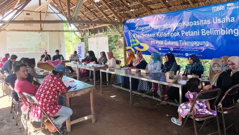 PNM Dampingi UMKM Belajar Membuat Pupuk Organik dari Limbah Belimbing