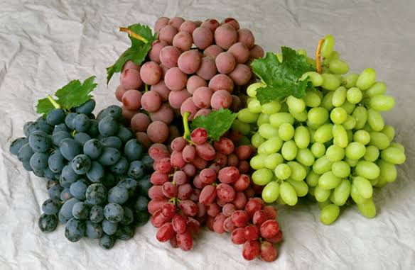 Khasiat Buah Anggur untuk Kesehatan Tubuh