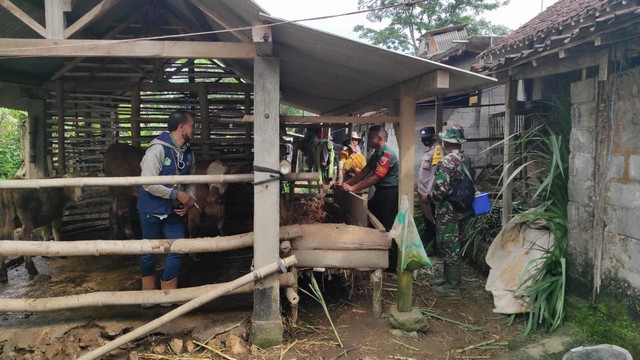 Sinergitas TNI-Polri Blitar Kawal Vaksinasi PMK di Sumberkembar