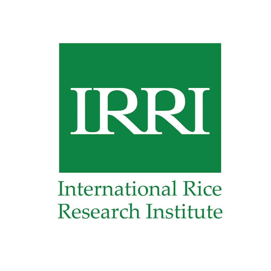 IRRI: Misinformasi Penghargaan untuk RI Tak Perlu Diperlebar