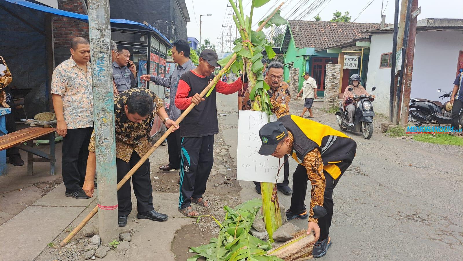 Pohon Pisang Ditanam di Jalan Rusak Dibersihkan