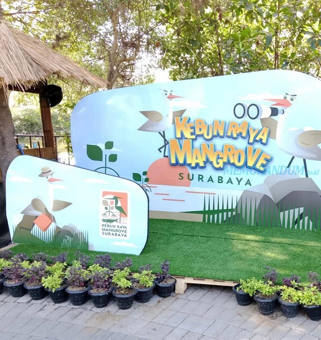 Pengunjung Keluhkan Lokasi Parkir Jauh di Kebun Raya Mangrove, Stand Kuliner Sepi