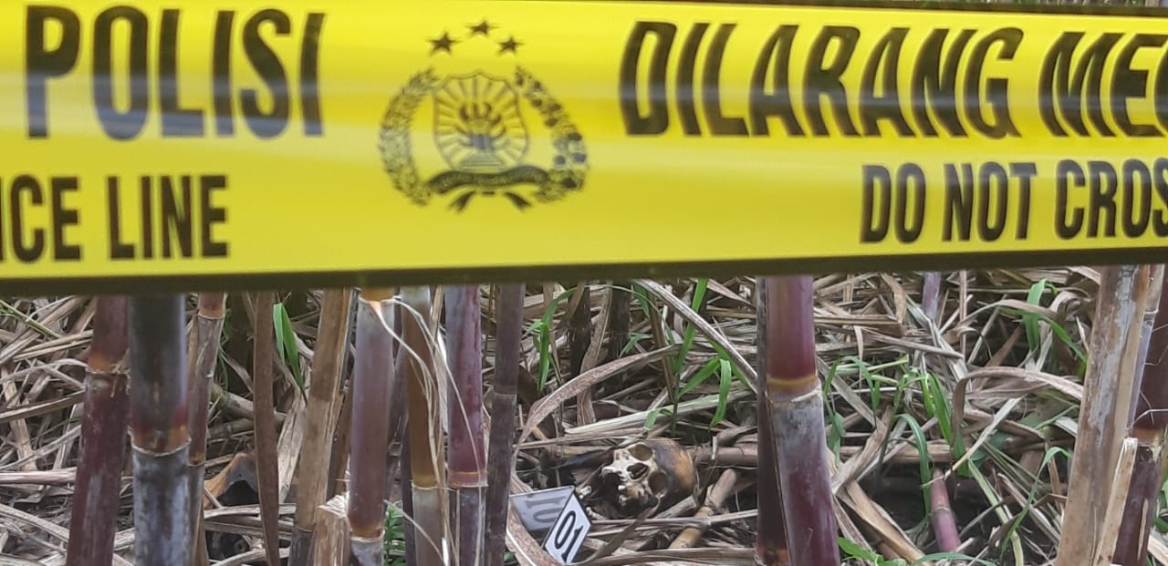 Mayat Mengering Ditemukan di Kebun Tebu Kepanjen, Polisi Olah TKP