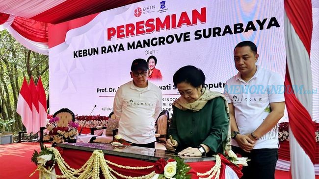 Kebun Raya Mangrove Surabaya Pertama di Indonesia Diresmikan Megawati Soekarnoputri
