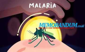 Tahun Ini, 5 Provinsi dan 9 Kabupaten/Kota Berhasil Eliminasi Malaria