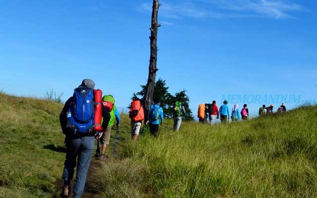 Mau Coba Mendaki? Ini Rekomendasi Gunung di Jawa Timur yang Cocok Bagi Pemula