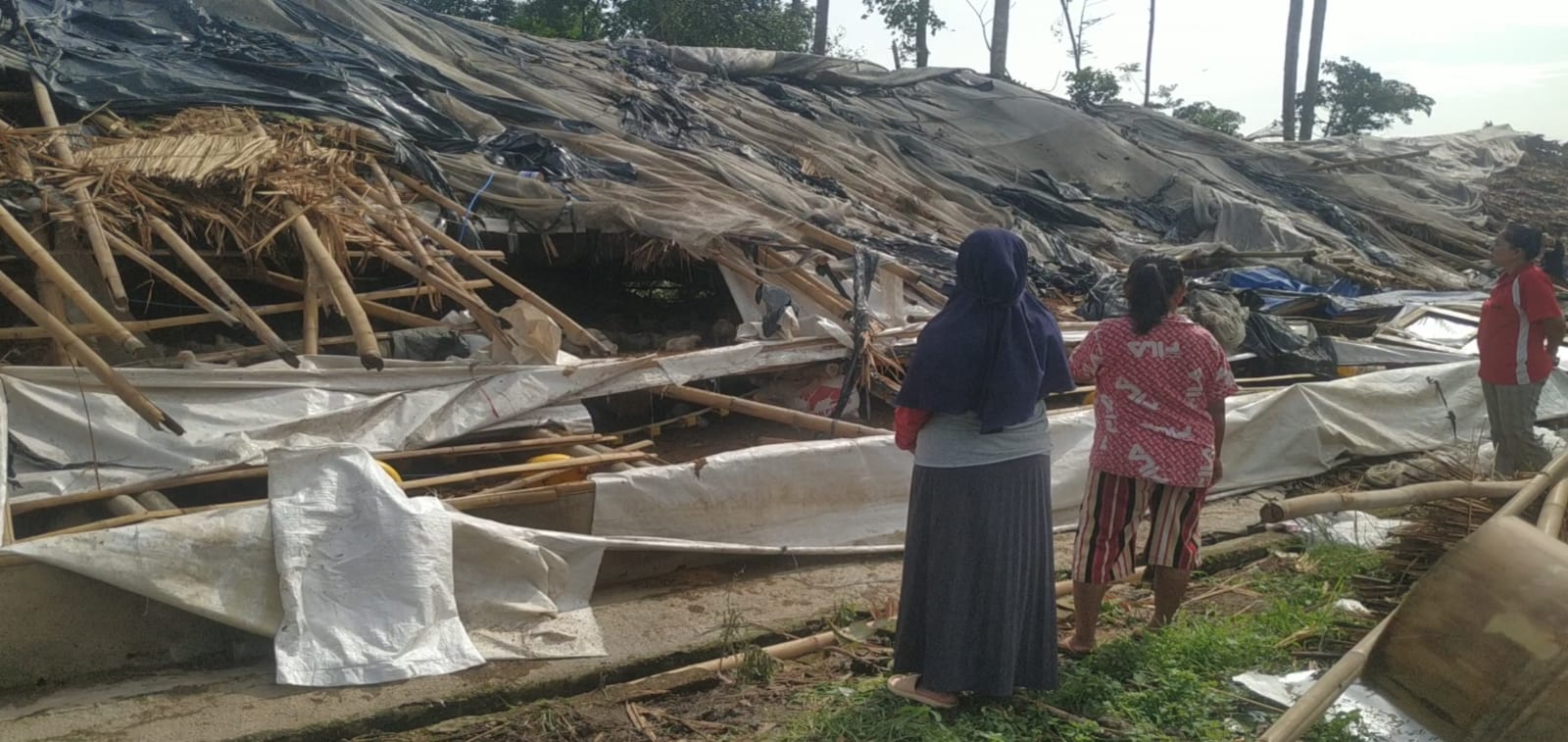 Puting Beliung Hantam Dua Dusun di Jember, Puluhan Rumah Rusak