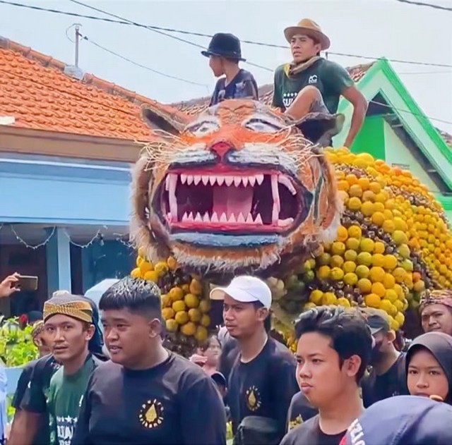 Gunungan Jadi Rebutan Acara Sedekah Bumi di Dukuh Kapasan